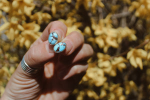 Turquoise Studs