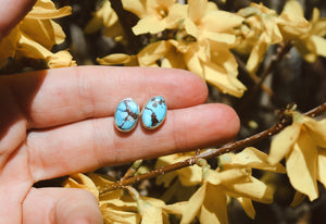 Turquoise Studs